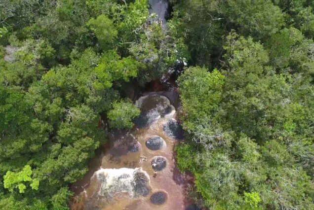 City of Culture Kyoto Tour - 2 Days 1 Night